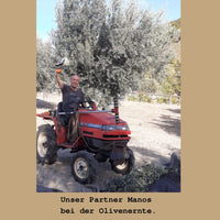 Foto von Manos auf einem kleinen Traktorbei der Ernte der Oliven