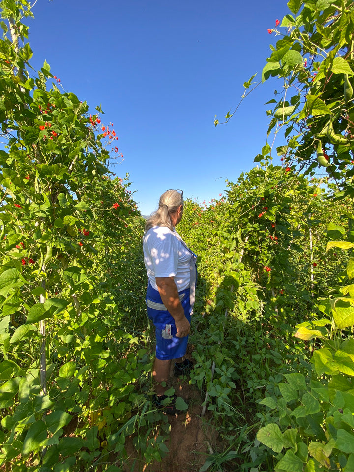 Aimilios im Blaumann bei der Arbeit mitten auf dem Riesenbohnen Feld 