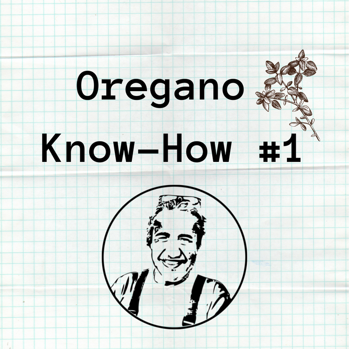 Bild zu Aimilios Organics Oregano Know-How Post #1