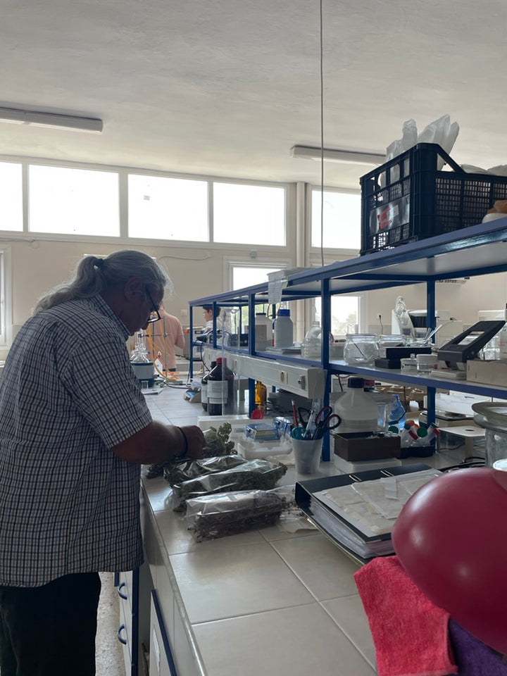 Aimilios Dimitriadis von Aimilios Organics im Bild bei der Arbeit im Labor der griechischen Landwirtschaftsorganisation ELGO DIMITRA 