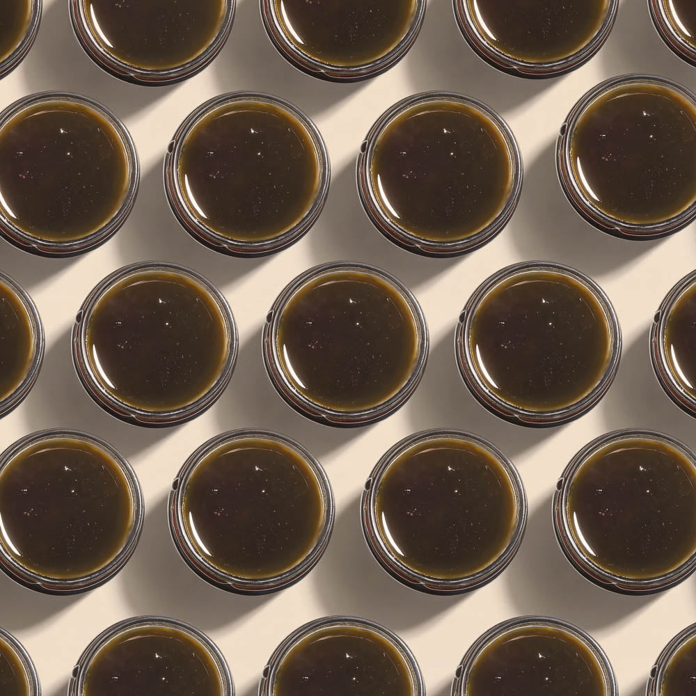 Aimilios Organics – Edelhonig aus Prespa | Kastanie & Eiche | Bio-Qualität 450g